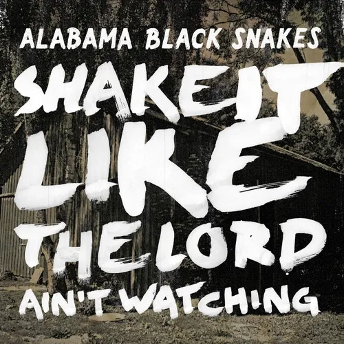 Shake It Like The Lord Ain't Watching