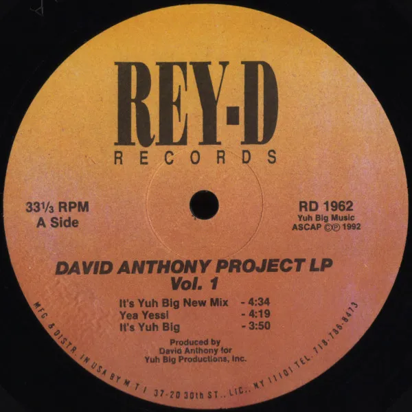 David Anthony Project LP Vol. 1