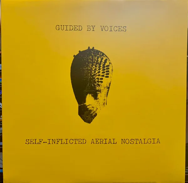 Self-Inflicted Aerial Nostalgia