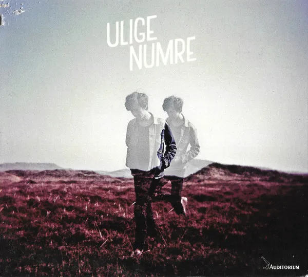 Ulige Numre