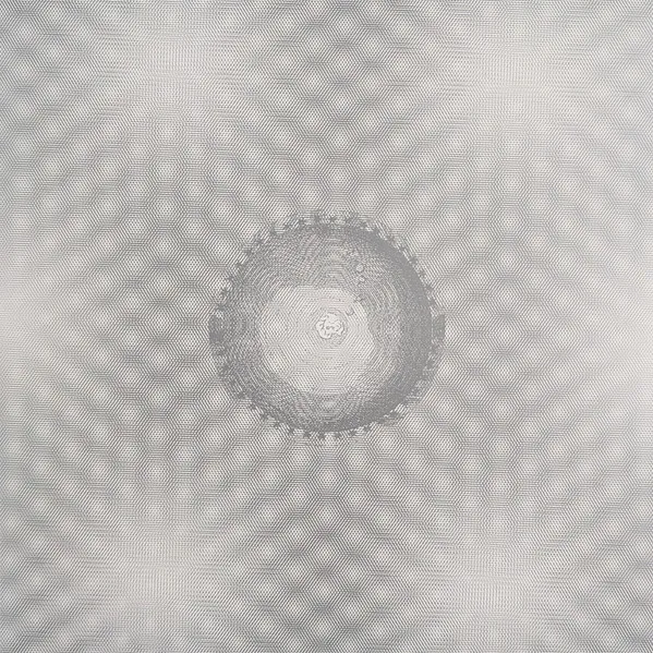 Seven Ways of Disappearing (Silver)
