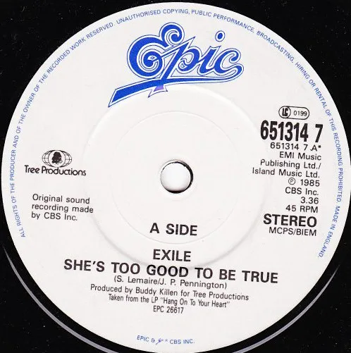 She's Too Good To Be True / Promises, Promises