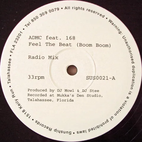 Feel The Beat (Boom Boom)