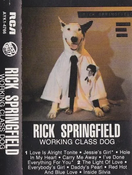 Rick Springfield