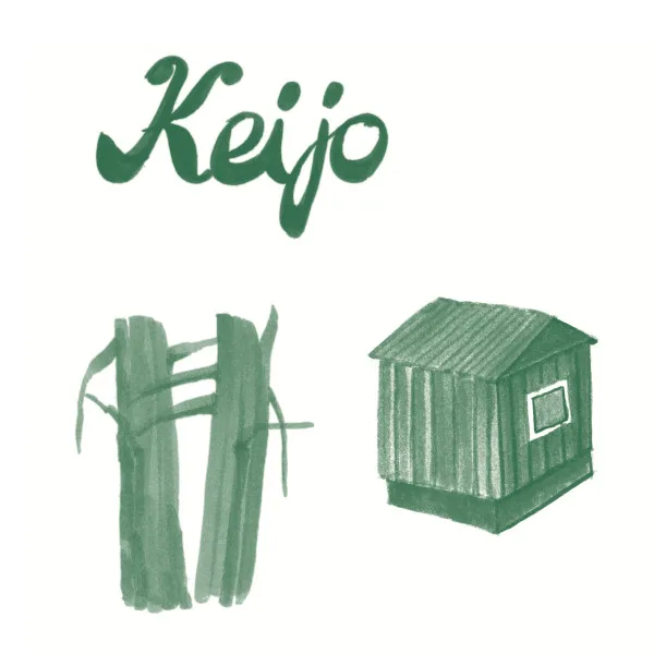 What Keijo Played Last Summer
