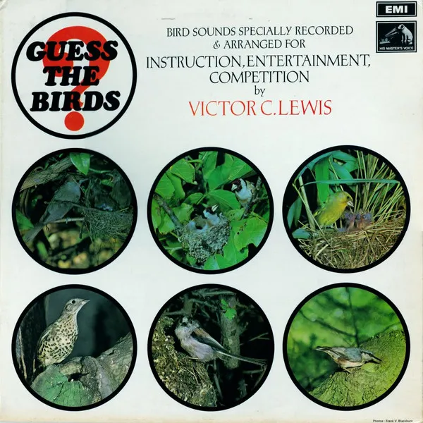 Guess The Birds