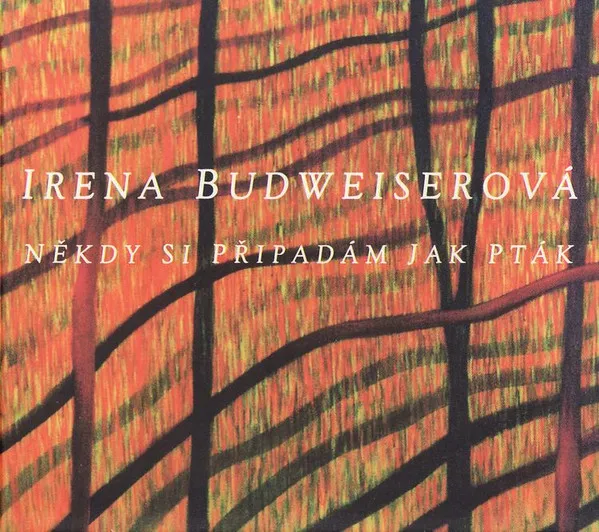 Někdy si připadám jak pták