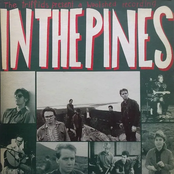 In The Pines