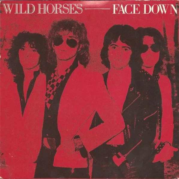 Wild Horses