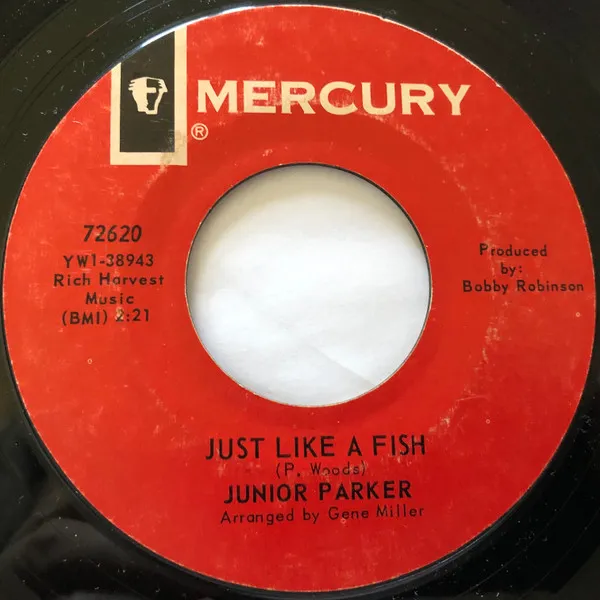 Just Like A Fish