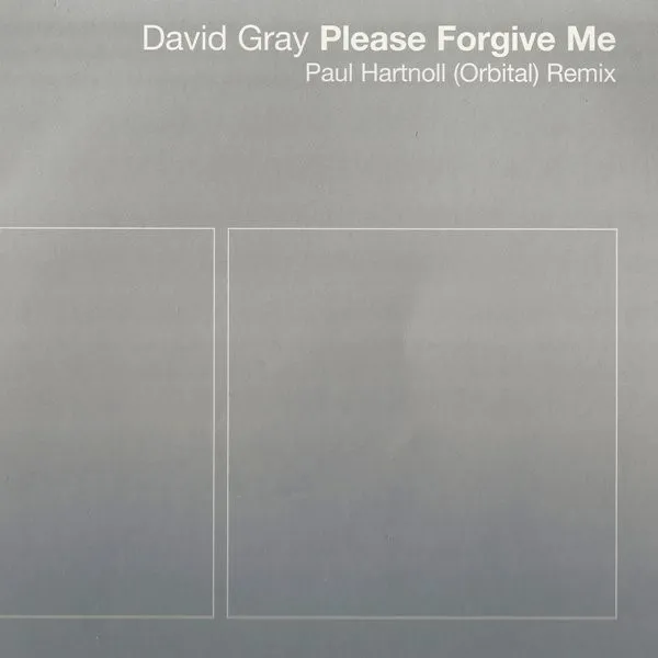 Please Forgive Me (Paul Hartnoll (Orbital) Remix)