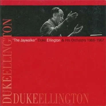 The Jaywalker