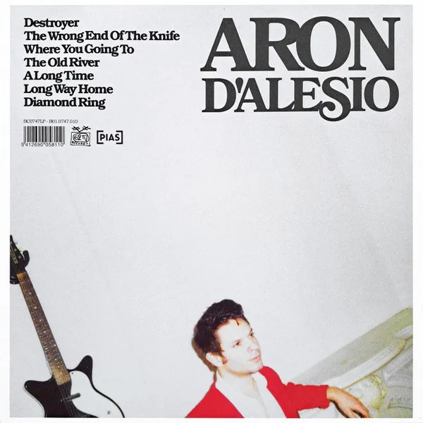 Hello Are You Real / Aron Dalesio