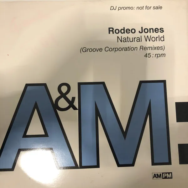 Natural World (The Groove Corporation Remixes)