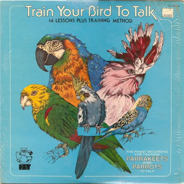 Train Your Bird To Talk