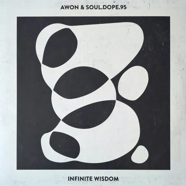 Infinite Wisdom