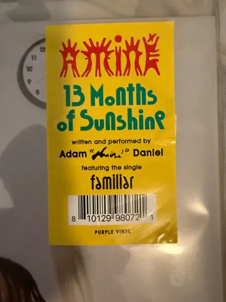 13 Months Of Sunshine (Purple Vinyl)