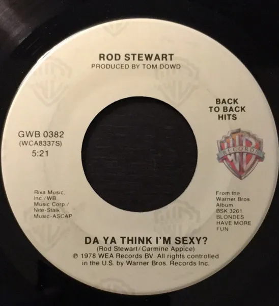 Da Ya Think I'm Sexy? / Ain't Love A Bitch