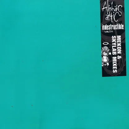 Indestructible (Mekon & Skylab Mixes)
