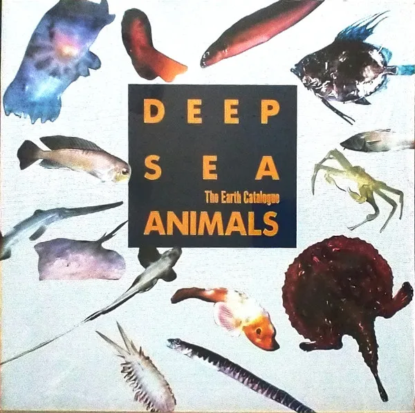 Deep Sea Animals