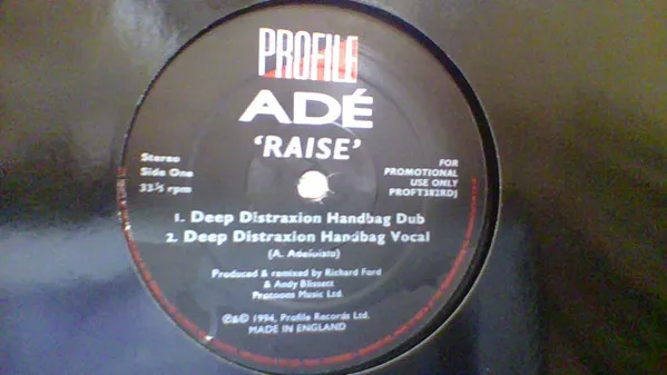 Raise (Remixes)