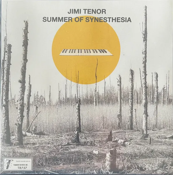 7-Summer of Synesthesia