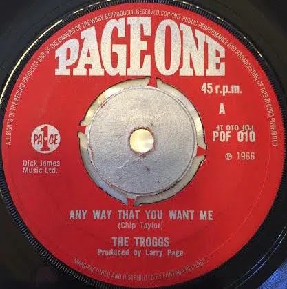 Any Way That You Want Me