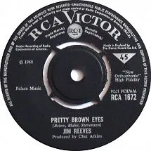 Pretty Brown Eyes