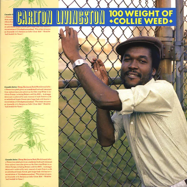 100 Weight Of Collie Weed