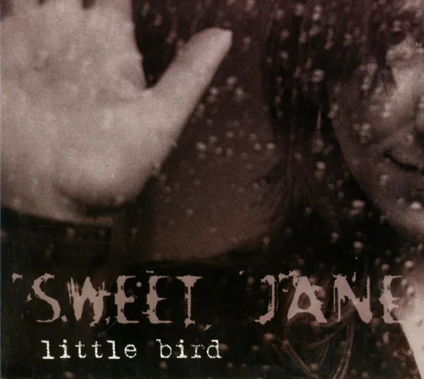 Little Bird