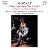 Flute Concertos