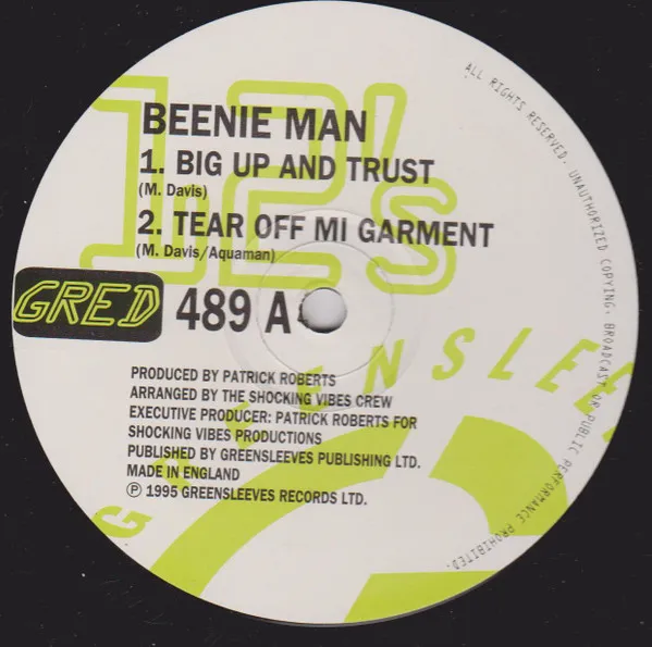 Big Up And Trust / Tear Off Mi Garment