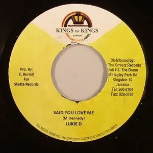 Said You Love Me / Mr Survivor