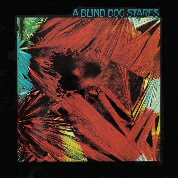 A Blind Dog Stares