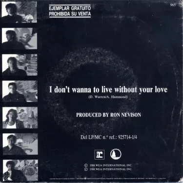 I Don't Wanna To Live Without Your Love