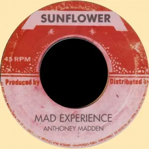 Mad Experience