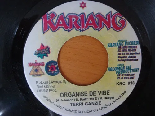 Organise De Vibe / Way She Trod