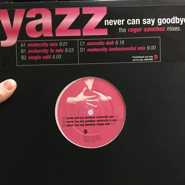 Never Can Say Goodbye (The Roger Sanchez Mixes)