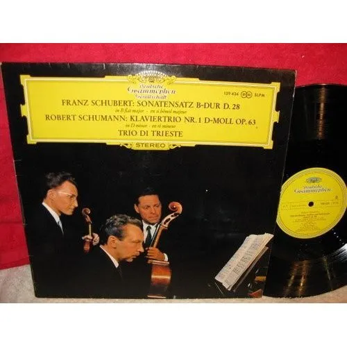Sonatensatz B-dur D.28 / Klaviertrio Nr 1 D-moll Op 63