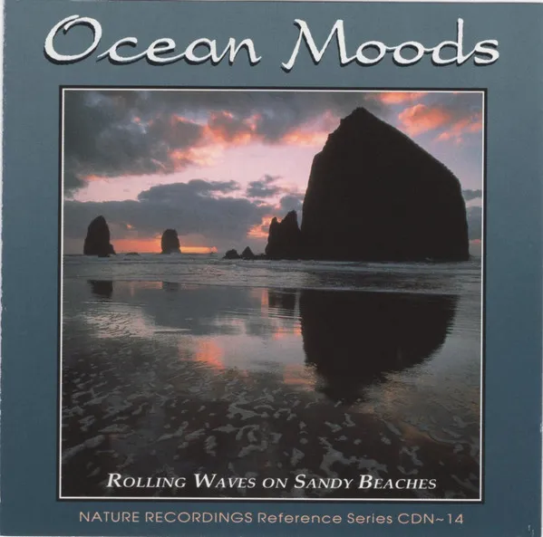 Ocean Moods: Rolling Waves On Sandy Beaches