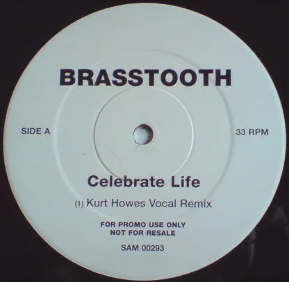 Celebrate Life (Kurt Howes Remix)
