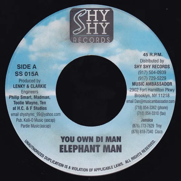 You Own Di Man / Well Well