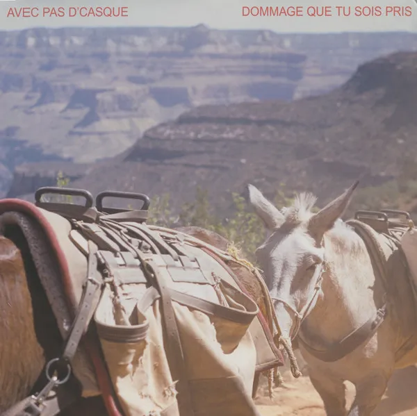 Dommage Que Tu Sois Pris
