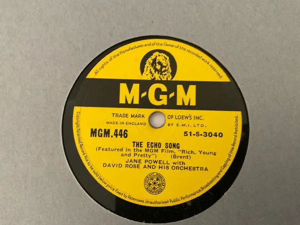 The Echo Song