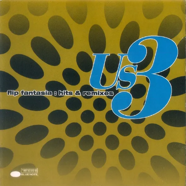 Flip Fantasia: Hits & Remixes
