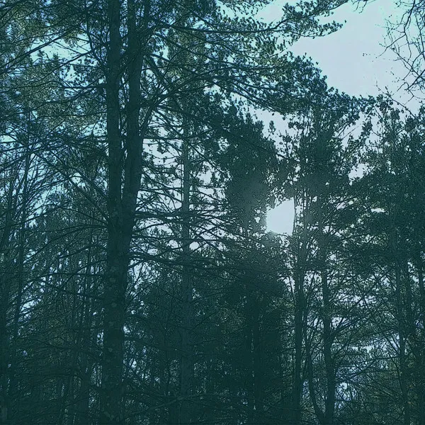 Vacant