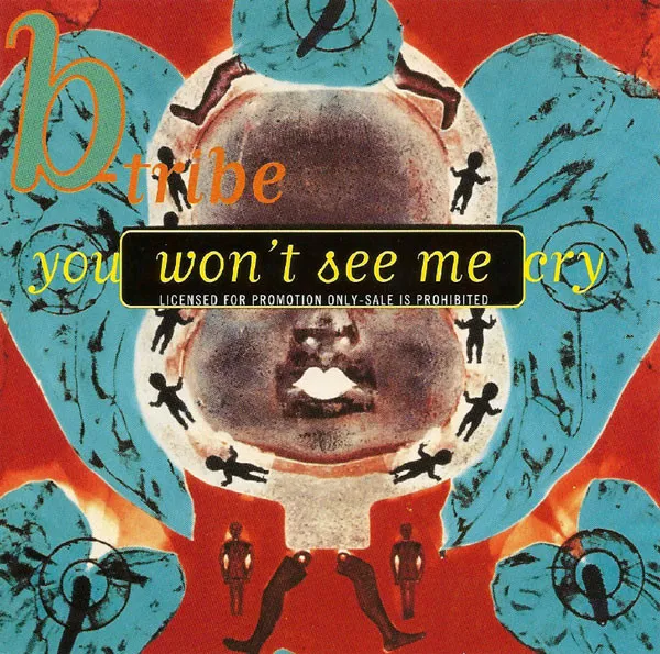 You Won't See Me Cry (Theme From Vangelis "I'll Find My Way Home")