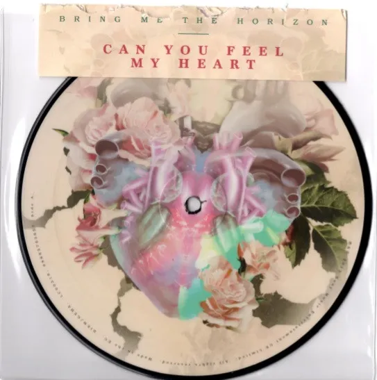 Can You Feel My Heart