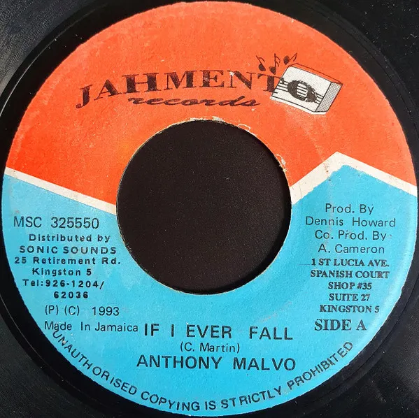 If I Ever Fall