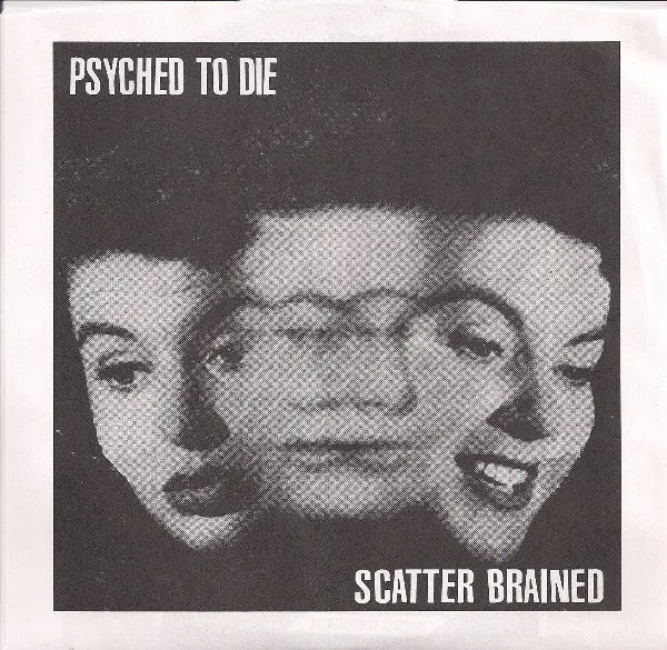 Scatter Brained